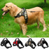 Dogs Collar Adjustable